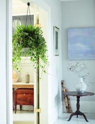 Цветы в интерьере: 175+ (Фото) Красивых сочетаний (в гостиной, спальне, на кухне)