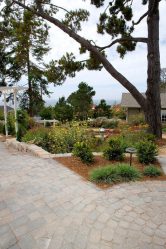 Дорожки на даче из тротуарной плитки — Дизайн красивого двора (120+ Фото)