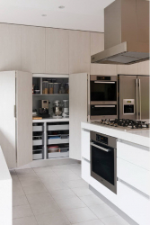 Встроенные кухни (150+ Фото): Как выбрать технику? (холодильник, духовой шкаф, вытяжка)