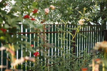 Деревянный забор для частного дома: Как выбрать? 200+ (Фото) Красивых вариантов