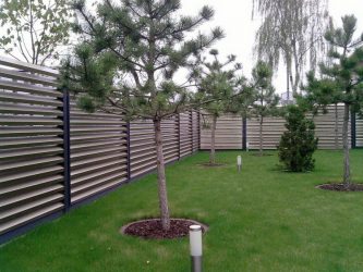 Деревянный забор для частного дома: Как выбрать? 200+ (Фото) Красивых вариантов