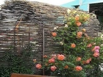 Деревянный забор для частного дома: Как выбрать? 200+ (Фото) Красивых вариантов