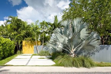 Забор из профнастила для Частного Дома: 135+ (Фото) Красивых ограждений своими руками