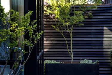 Забор из профнастила для Частного Дома: 135+ (Фото) Красивых ограждений своими руками