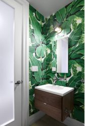 Зеленые обои: 200+ Фото Дизайна для вашего интерьера.  Какие обои подойдут для стен в спальне, кухне, гостиной?