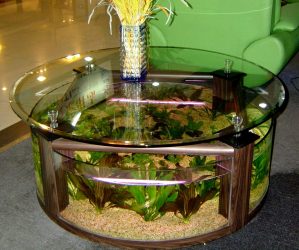Аквариум в интерьере квартиры или дома: 145+ (Фото) видов для оформления Вашего дизайна (угловой, сухой, перегородка, маленький)