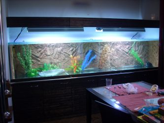 Аквариум в интерьере квартиры или дома: 145+ (Фото) видов для оформления Вашего дизайна (угловой, сухой, перегородка, маленький)