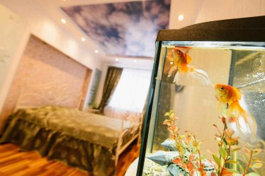 Аквариум в интерьере квартиры или дома: 145+ (Фото) видов для оформления Вашего дизайна (угловой, сухой, перегородка, маленький)