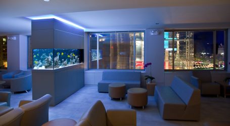 Аквариум в интерьере квартиры или дома: 145+ (Фото) видов для оформления Вашего дизайна (угловой, сухой, перегородка, маленький)