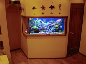 Аквариум в интерьере квартиры или дома: 145+ (Фото) видов для оформления Вашего дизайна (угловой, сухой, перегородка, маленький)