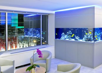 Аквариум в интерьере квартиры или дома: 145+ (Фото) видов для оформления Вашего дизайна (угловой, сухой, перегородка, маленький)