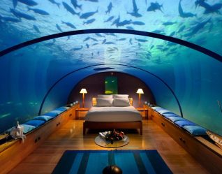 Аквариум в интерьере квартиры или дома: 145+ (Фото) видов для оформления Вашего дизайна (угловой, сухой, перегородка, маленький)