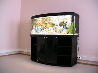 Аквариум в интерьере квартиры или дома: 145+ (Фото) видов для оформления Вашего дизайна (угловой, сухой, перегородка, маленький)