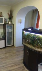 Аквариум в интерьере квартиры или дома: 145+ (Фото) видов для оформления Вашего дизайна (угловой, сухой, перегородка, маленький)