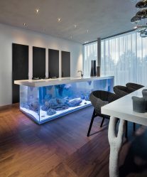 Аквариум в интерьере квартиры или дома: 145+ (Фото) видов для оформления Вашего дизайна (угловой, сухой, перегородка, маленький)