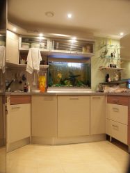 Аквариум в интерьере квартиры или дома: 145+ (Фото) видов для оформления Вашего дизайна (угловой, сухой, перегородка, маленький)