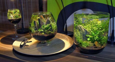 Аквариум в интерьере квартиры или дома: 145+ (Фото) видов для оформления Вашего дизайна (угловой, сухой, перегородка, маленький)