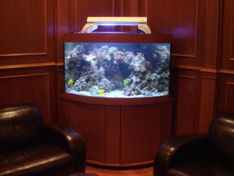 Аквариум в интерьере квартиры или дома: 145+ (Фото) видов для оформления Вашего дизайна (угловой, сухой, перегородка, маленький)
