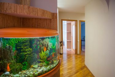 Аквариум в интерьере квартиры или дома: 145+ (Фото) видов для оформления Вашего дизайна (угловой, сухой, перегородка, маленький)