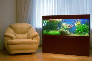 Аквариум в интерьере квартиры или дома: 145+ (Фото) видов для оформления Вашего дизайна (угловой, сухой, перегородка, маленький)
