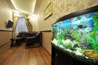 Аквариум в интерьере квартиры или дома: 145+ (Фото) видов для оформления Вашего дизайна (угловой, сухой, перегородка, маленький)