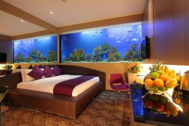 Аквариум в интерьере квартиры или дома: 145+ (Фото) видов для оформления Вашего дизайна (угловой, сухой, перегородка, маленький)