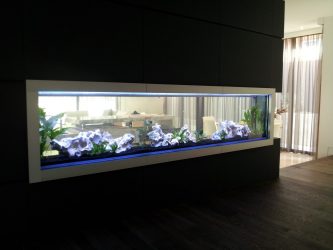 Аквариум в интерьере квартиры или дома: 145+ (Фото) видов для оформления Вашего дизайна (угловой, сухой, перегородка, маленький)