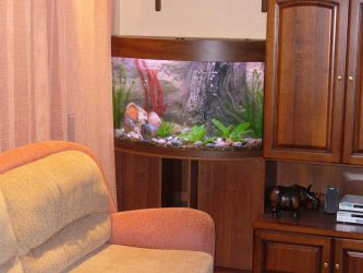 Аквариум в интерьере квартиры или дома: 145+ (Фото) видов для оформления Вашего дизайна (угловой, сухой, перегородка, маленький)