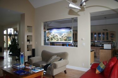 Аквариум в интерьере квартиры или дома: 145+ (Фото) видов для оформления Вашего дизайна (угловой, сухой, перегородка, маленький)