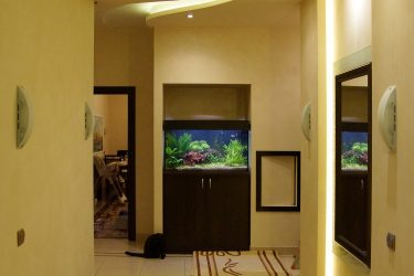 Аквариум в интерьере квартиры или дома: 145+ (Фото) видов для оформления Вашего дизайна (угловой, сухой, перегородка, маленький)