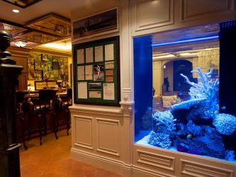Аквариум в интерьере квартиры или дома: 145+ (Фото) видов для оформления Вашего дизайна (угловой, сухой, перегородка, маленький)