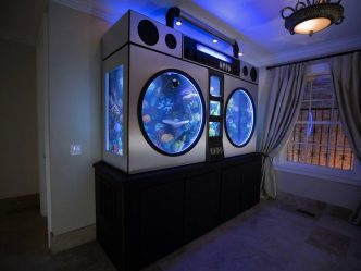 Аквариум в интерьере квартиры или дома: 145+ (Фото) видов для оформления Вашего дизайна (угловой, сухой, перегородка, маленький)