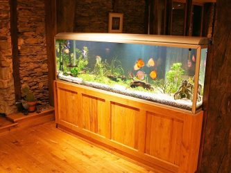 Аквариум в интерьере квартиры или дома: 145+ (Фото) видов для оформления Вашего дизайна (угловой, сухой, перегородка, маленький)