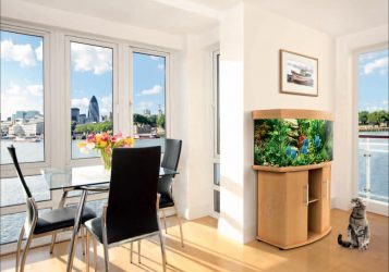 Аквариум в интерьере квартиры или дома: 145+ (Фото) видов для оформления Вашего дизайна (угловой, сухой, перегородка, маленький)