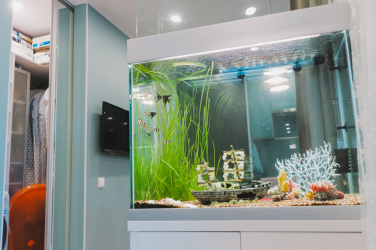 Аквариум в интерьере квартиры или дома: 145+ (Фото) видов для оформления Вашего дизайна (угловой, сухой, перегородка, маленький)