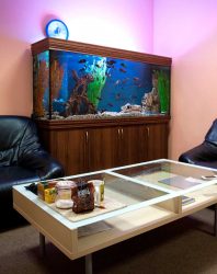 Аквариум в интерьере квартиры или дома: 145+ (Фото) видов для оформления Вашего дизайна (угловой, сухой, перегородка, маленький)