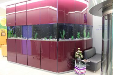 Аквариум в интерьере квартиры или дома: 145+ (Фото) видов для оформления Вашего дизайна (угловой, сухой, перегородка, маленький)