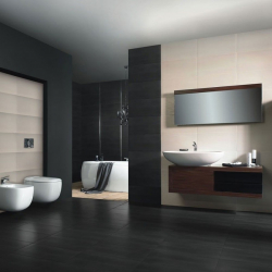 Интерьер черной ванной комнаты — 250+ (Фото) модных тенденций