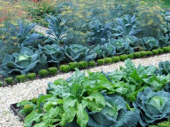 Ландшафтный дизайн для сада своими руками. ТОП-9 стилей, о которых нужно знать + 185 ФОТО