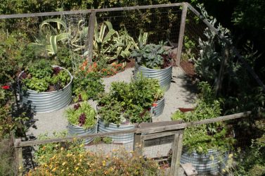 Ландшафтный дизайн для сада своими руками. ТОП-9 стилей, о которых нужно знать + 185 ФОТО