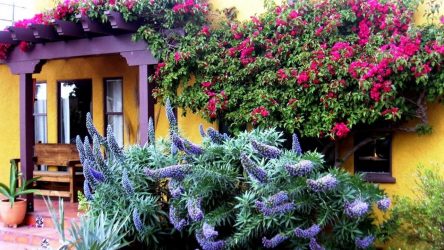 Ландшафтный дизайн для сада своими руками. ТОП-9 стилей, о которых нужно знать + 185 ФОТО