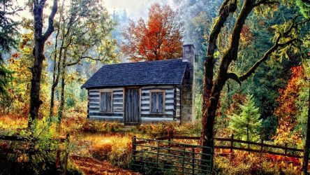 Дом в лесу: какой стиль лучше выбрать? 230+(Фото) душевного уединения и комфорта. А что понравится Вам?