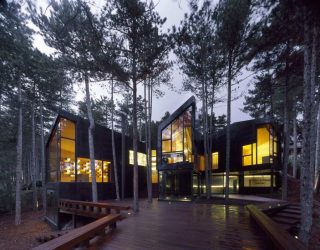 Дом в лесу: какой стиль лучше выбрать? 230+(Фото) душевного уединения и комфорта. А что понравится Вам?