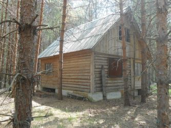 Дом в лесу: какой стиль лучше выбрать? 230+(Фото) душевного уединения и комфорта. А что понравится Вам?