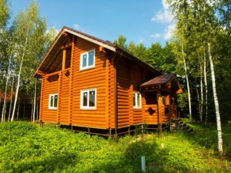 Дом в лесу: какой стиль лучше выбрать? 230+(Фото) душевного уединения и комфорта. А что понравится Вам?