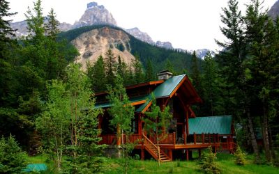 Дом в лесу: какой стиль лучше выбрать? 230+(Фото) душевного уединения и комфорта. А что понравится Вам?