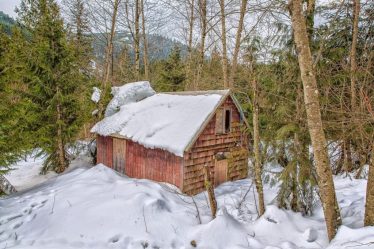 Дом в лесу: какой стиль лучше выбрать? 230+(Фото) душевного уединения и комфорта. А что понравится Вам?
