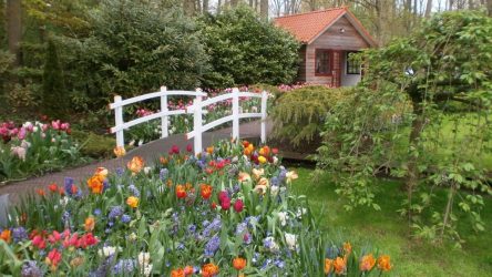 Дом в лесу: какой стиль лучше выбрать? 230+(Фото) душевного уединения и комфорта. А что понравится Вам?