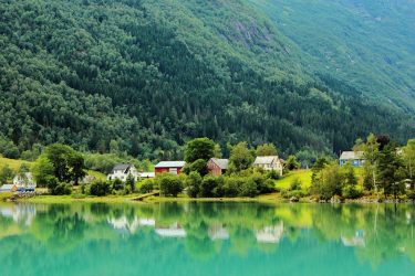 Дом в лесу: какой стиль лучше выбрать? 230+(Фото) душевного уединения и комфорта. А что понравится Вам?