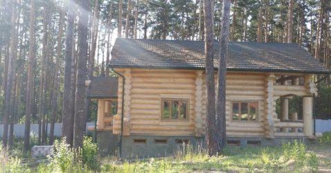 Дом в лесу: какой стиль лучше выбрать? 230+(Фото) душевного уединения и комфорта. А что понравится Вам?